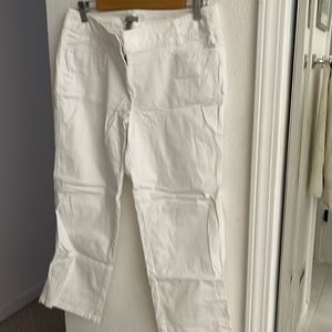 White Cotton Pant